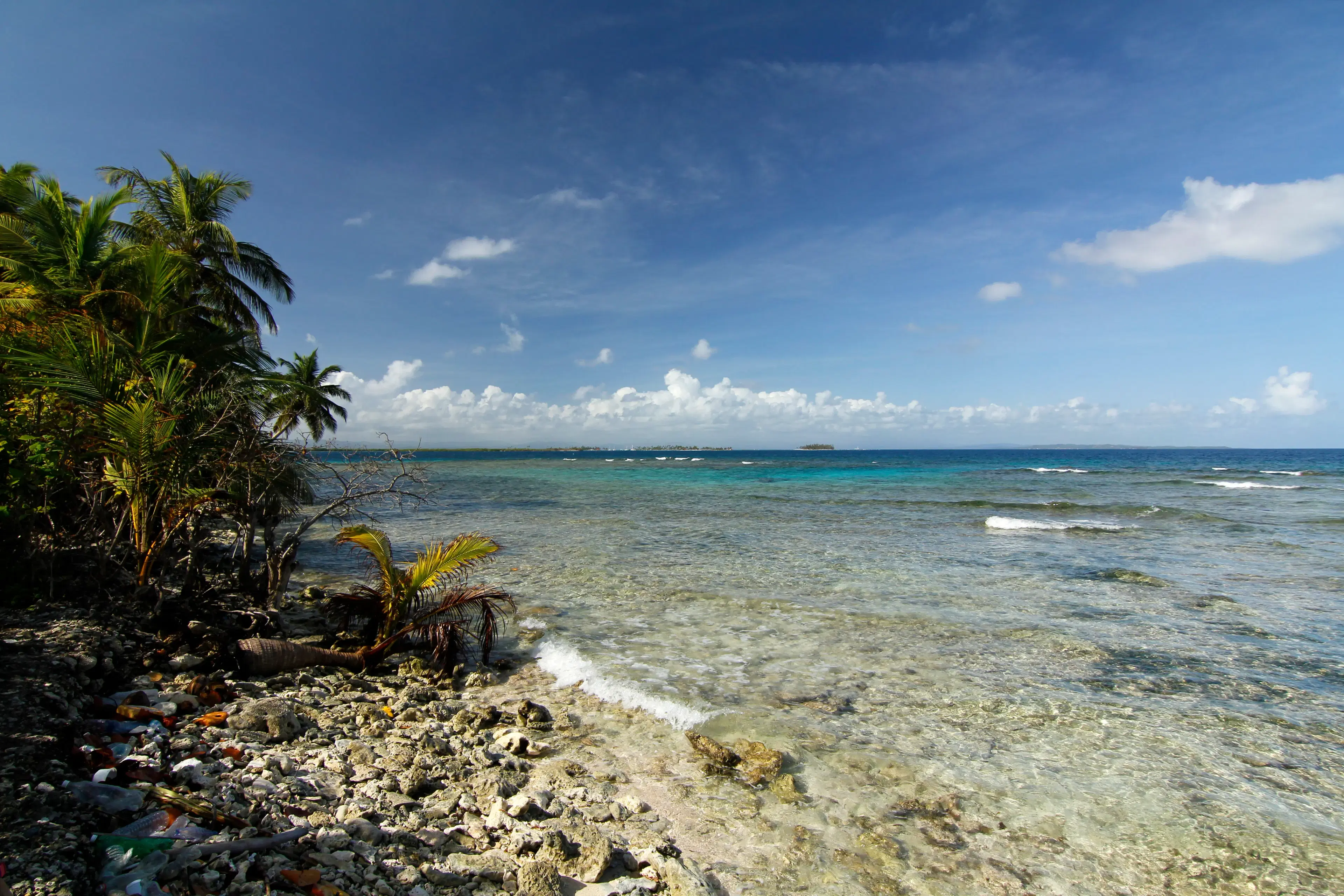 Arquipélago San Blas, destino de fly fishing e spinning de barco - pesca esportiva