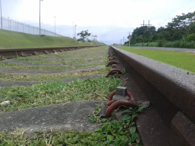 Lago Gatún: guia completo de pesca