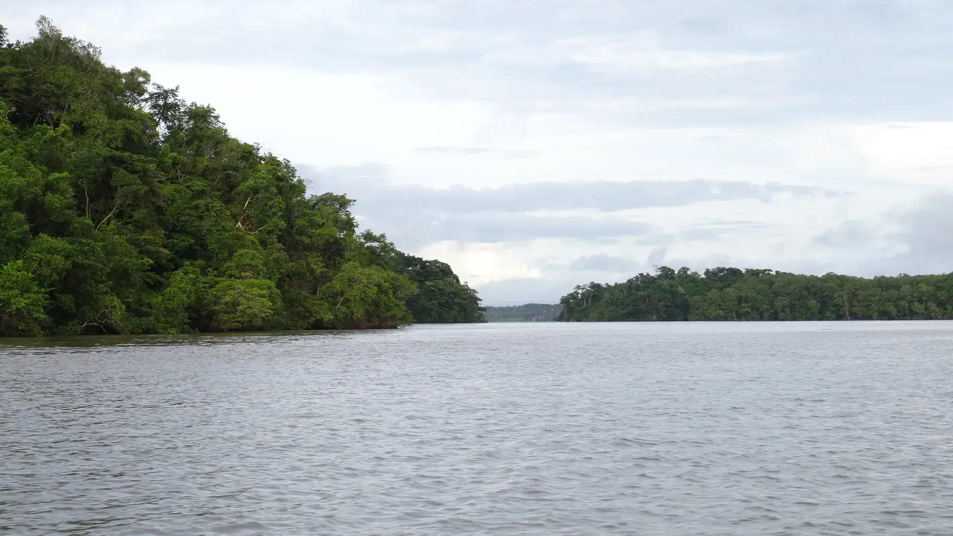 Rio Tuira (Panamá): Guia Completo de Pesca