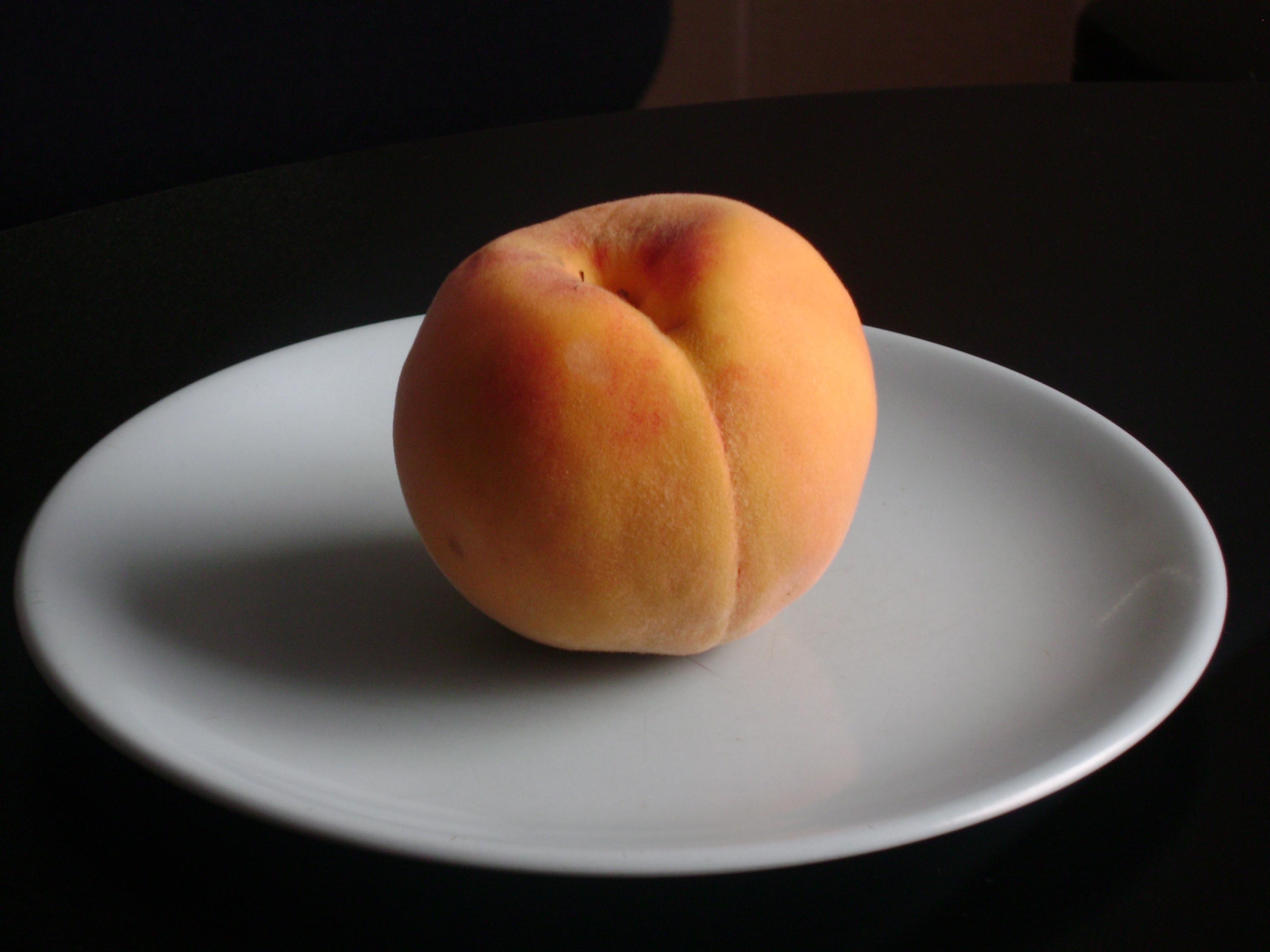 Represa Baygorria: guia completo de pesca