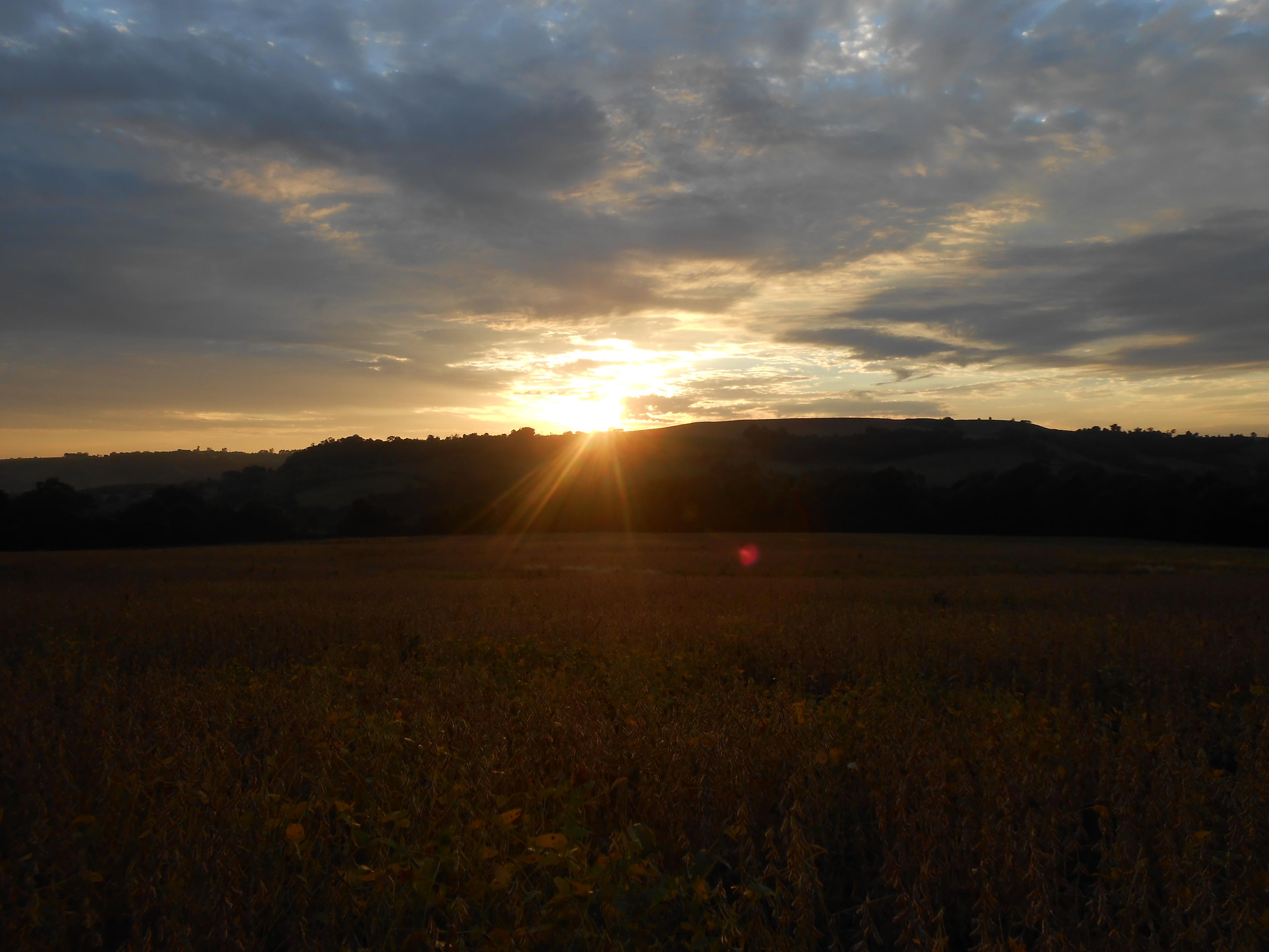 Rio Uruguai no Uruguai: Guia Completo de Pesca