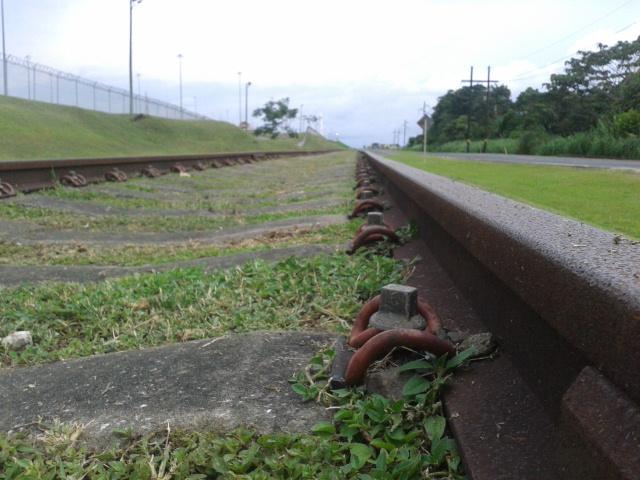 Lago Gatún: guia completo de pesca