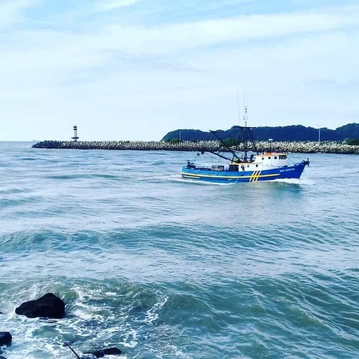 Rio Itajaí-Açu (SC): guia completo de pesca