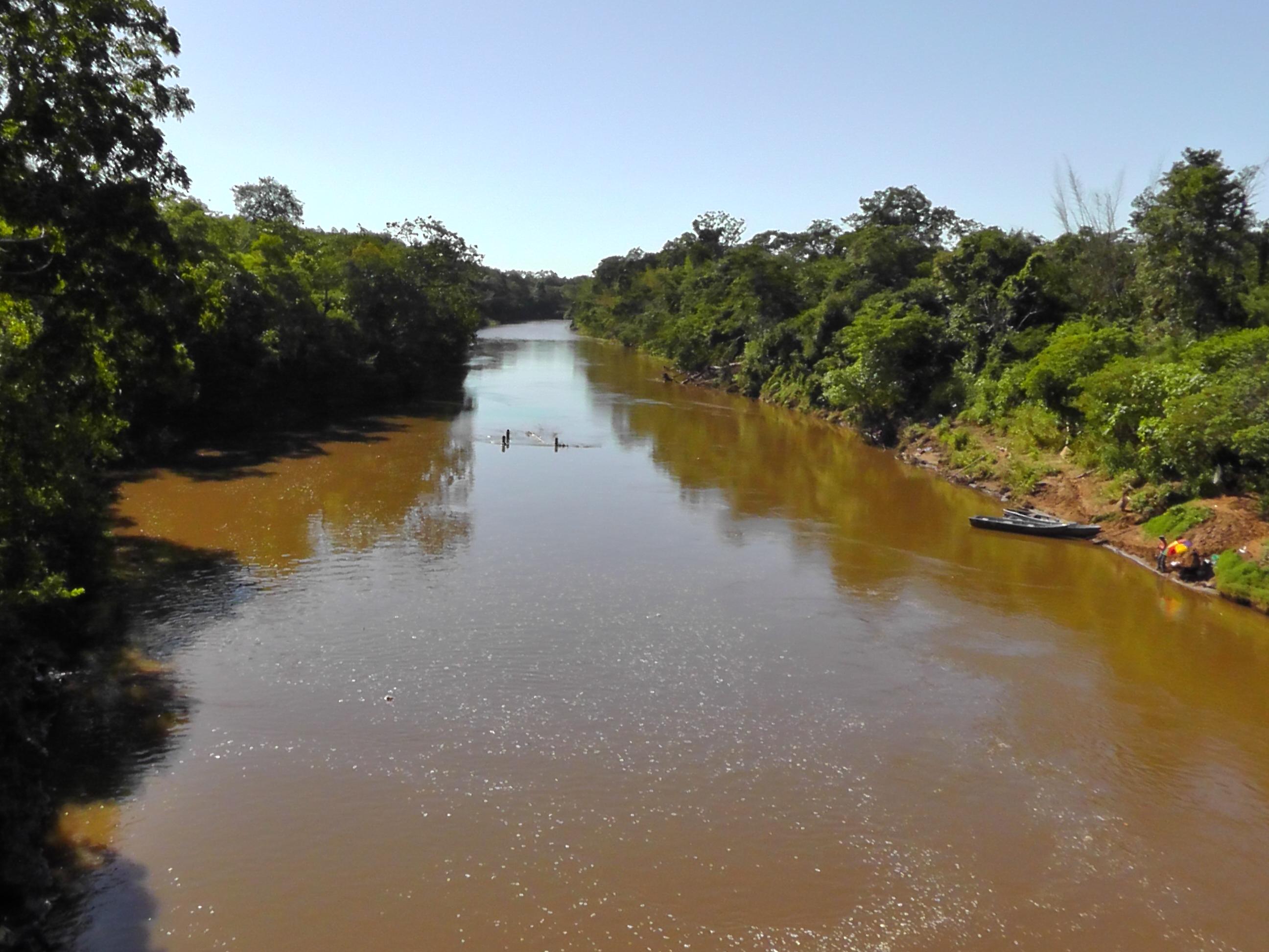 Rio Miranda: guia completo de pesca no Pantanal