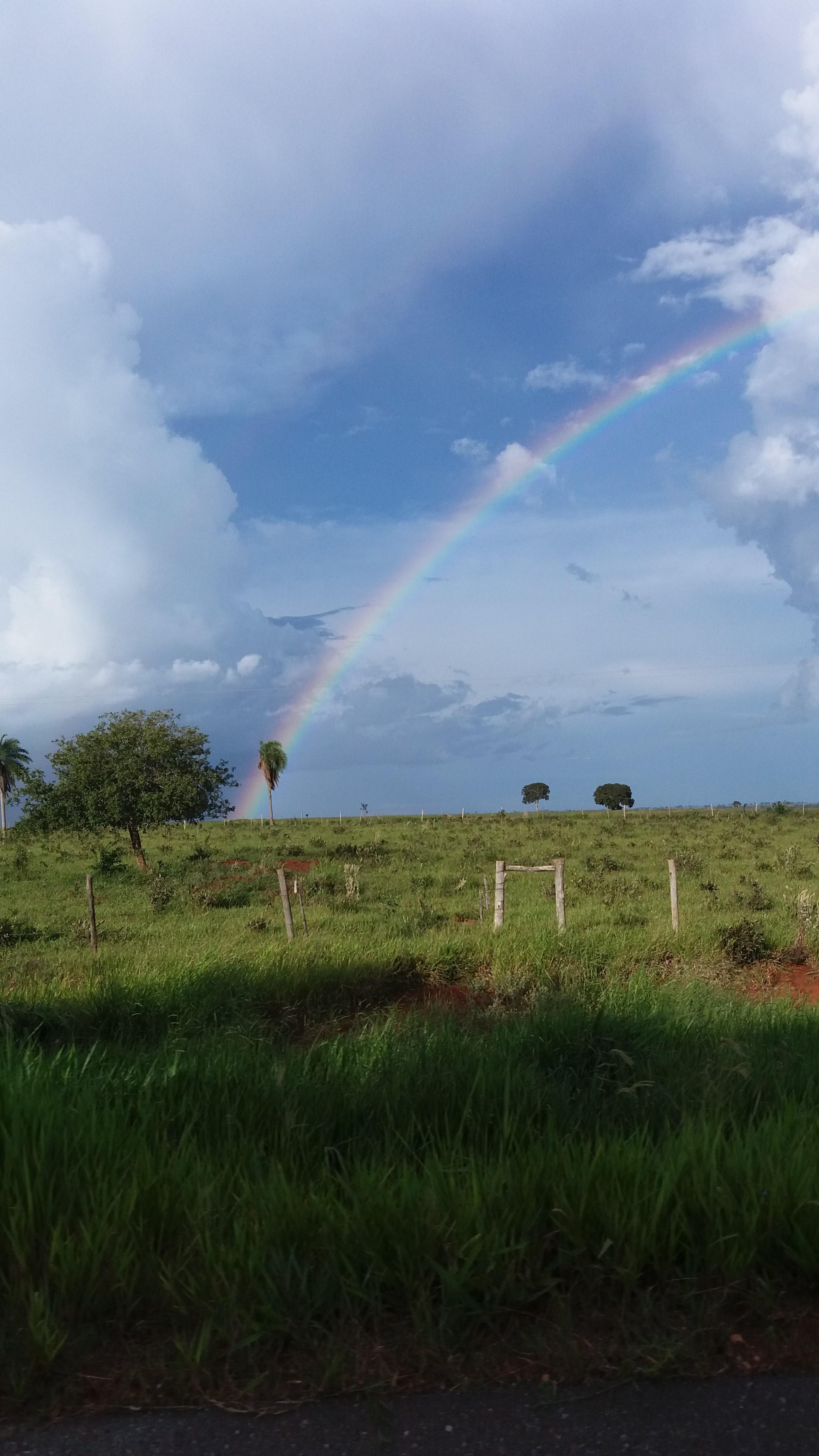 Rio da Prata (Uruguai): Guia Completo de Pesca