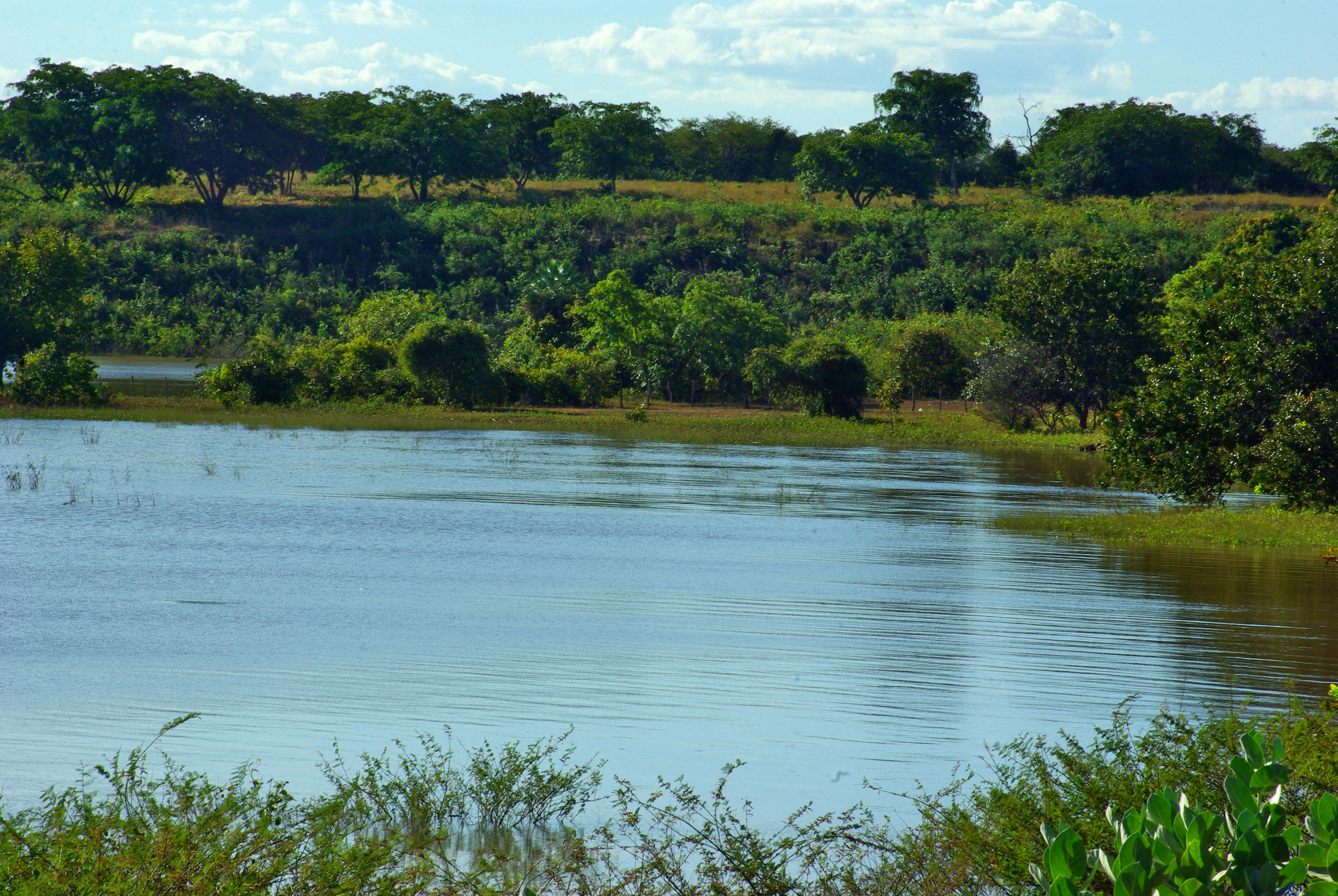 Represa de Boa Esperança: guia completo de pesca