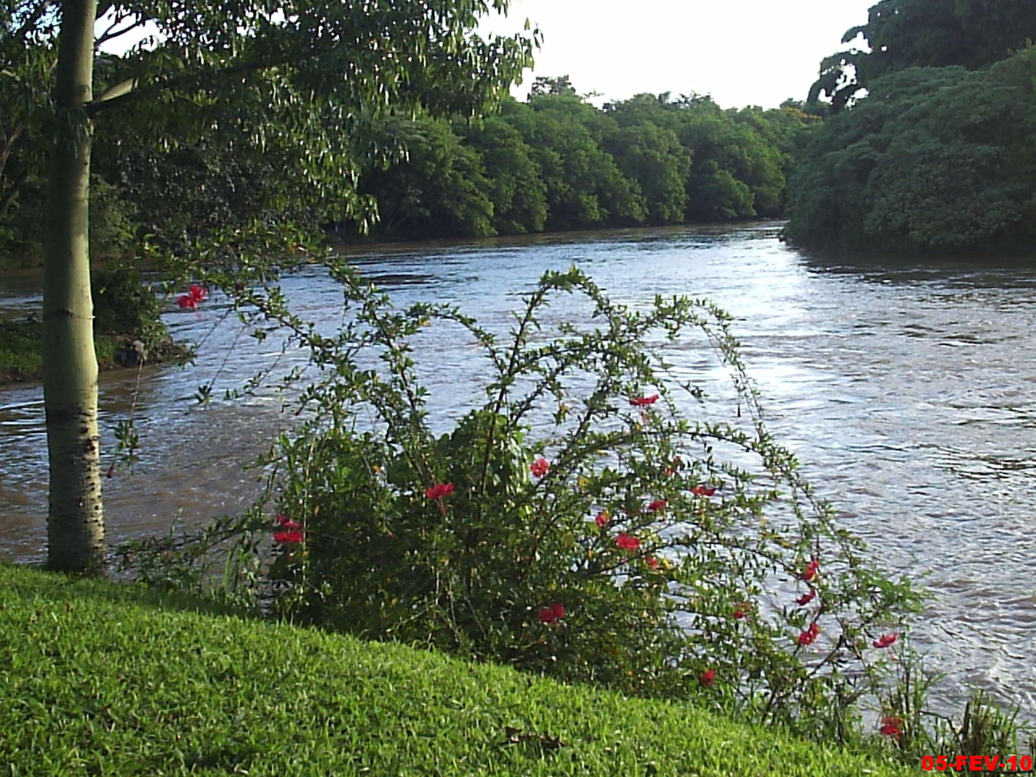 Rio Pardo: guia completo de pesca